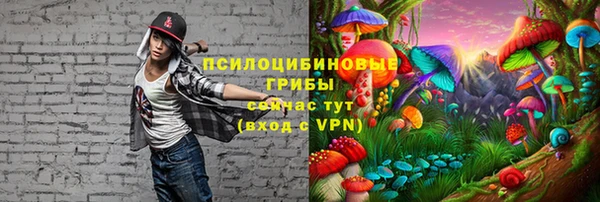 спиды Алексин