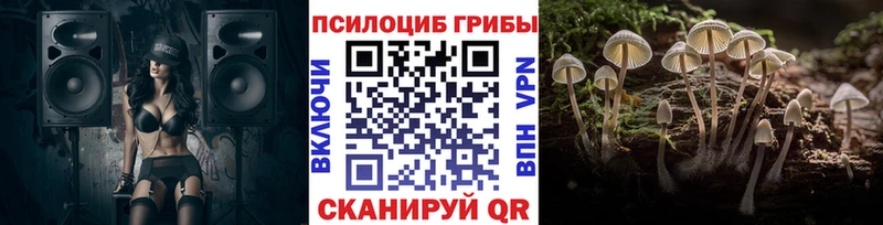 что такое наркотик  Льгов  Галлюциногенные грибы Cubensis 